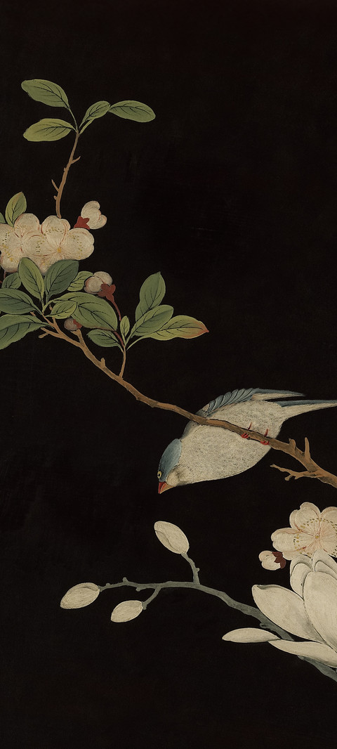 东方美学 screenshot