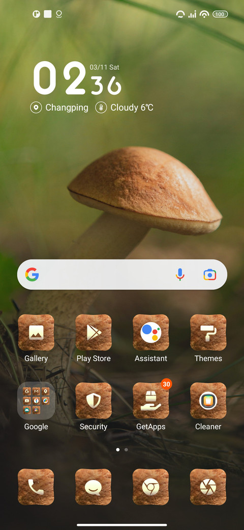 Birch screenshot