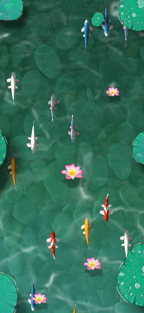 锦鲤荷塘 screenshot