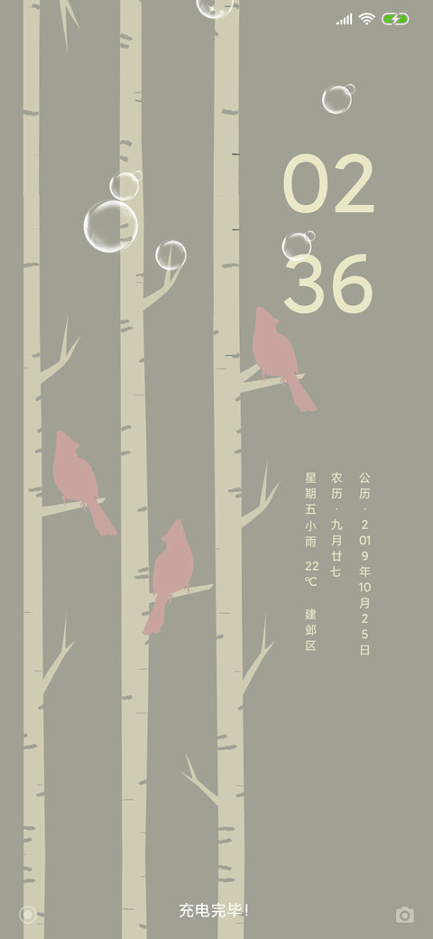 白桦林 screenshot