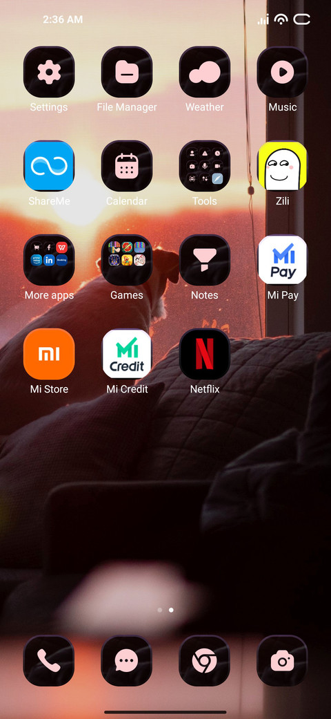 Window Dog screenshot