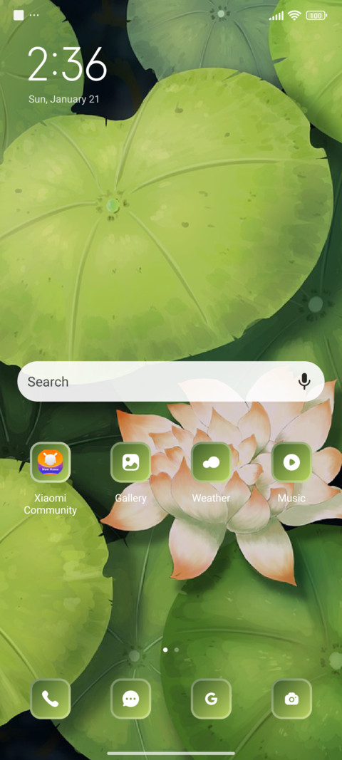 Lily screenshot