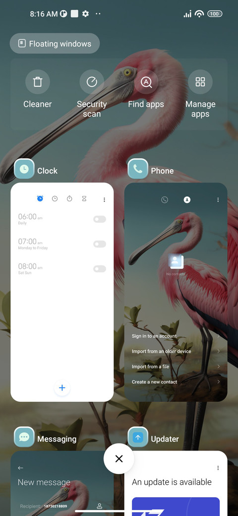 Bird screenshot