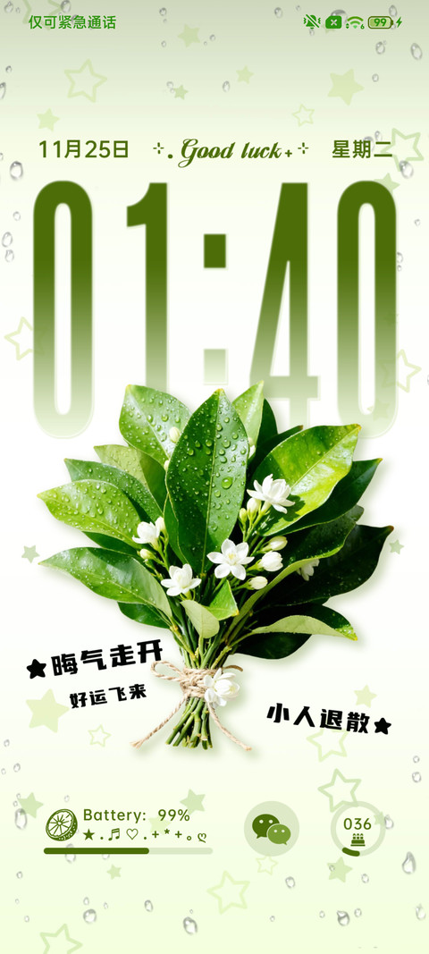 晦气退散柚子叶 screenshot
