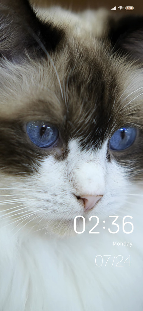 Fur cat screenshot