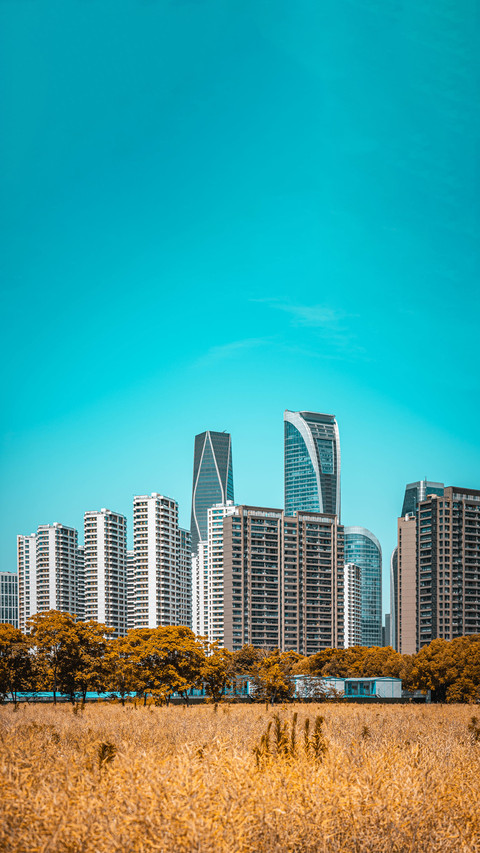 Modern high-rise buildings screenshot