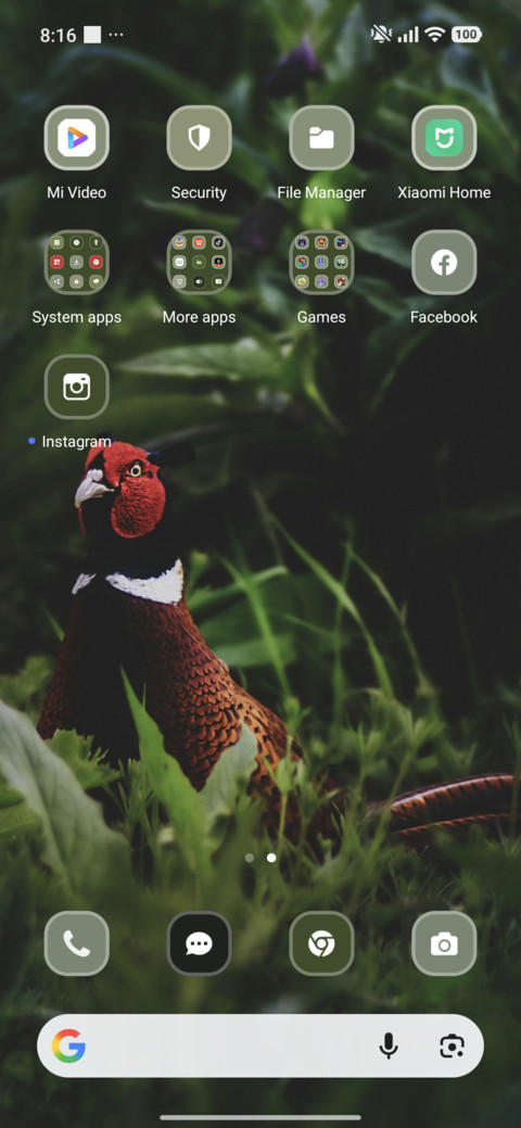 Pheasant screenshot