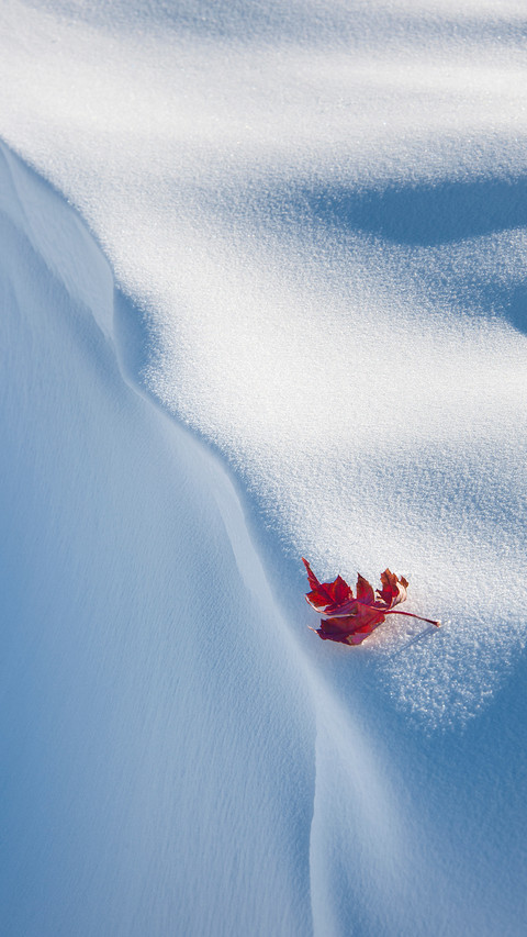 international_snow (1) screenshot