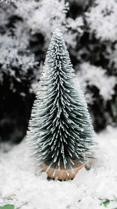 Winter Snow Country screenshot