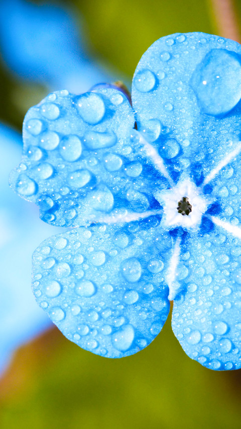 Raindrops (11) screenshot