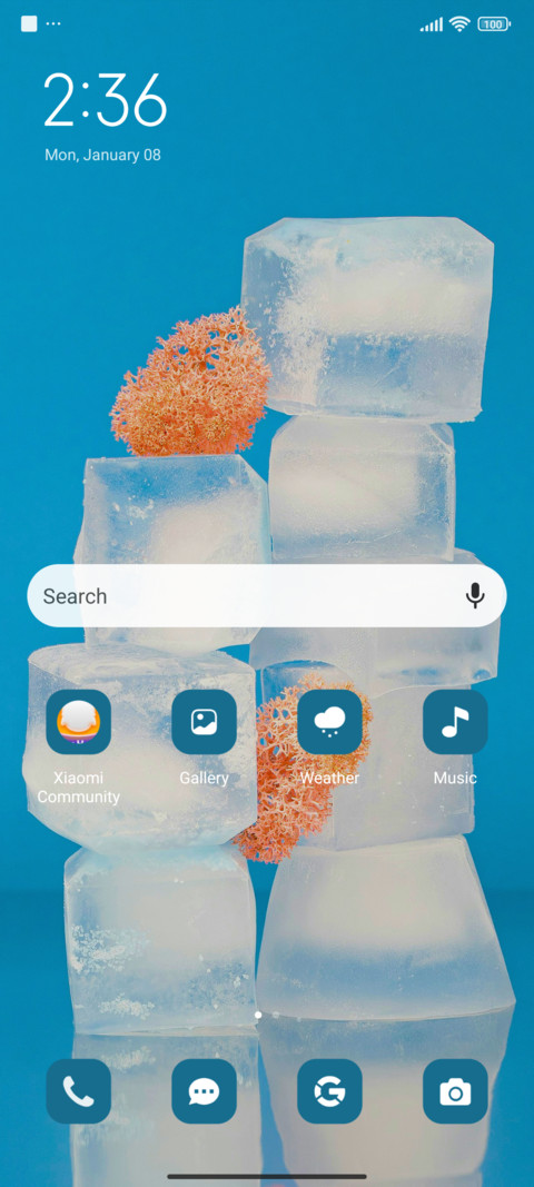 Ice Cubes screenshot