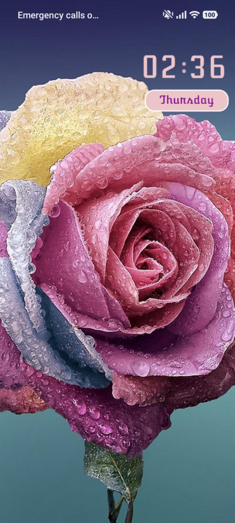 Flower screenshot