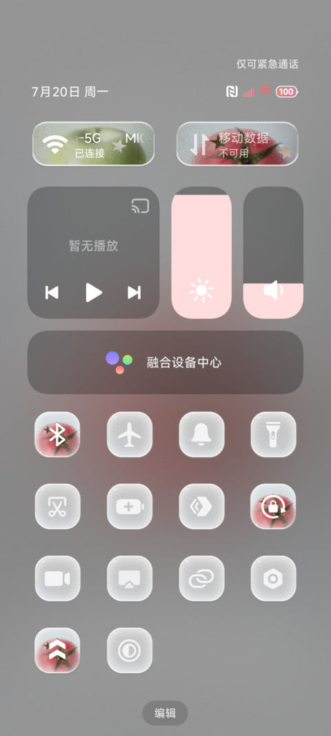 番茄花束赴夏 screenshot