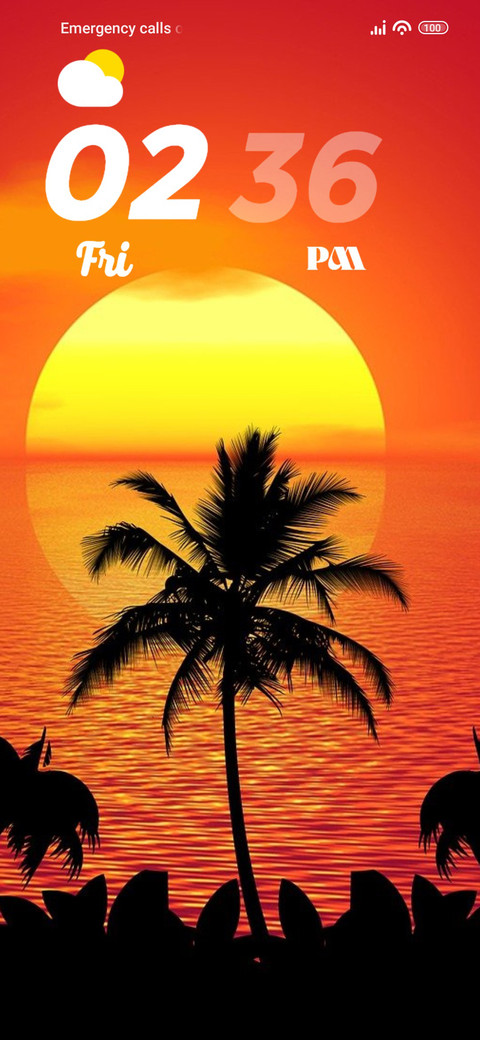 Palm Trees screenshot