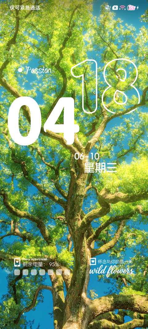 ins花与果实与风 screenshot