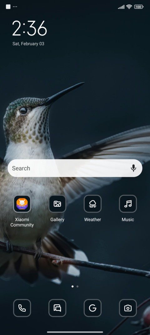 Bird screenshot