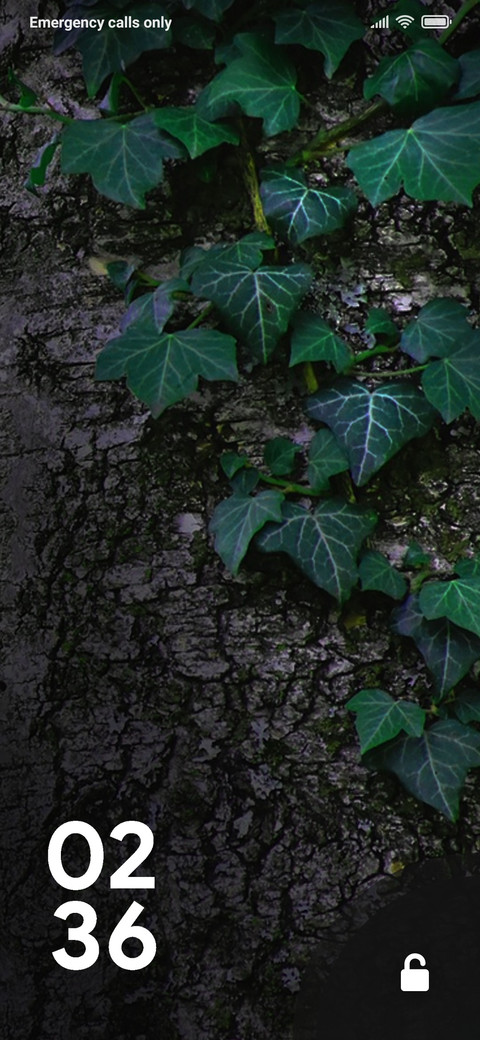 TREE_DWM2 screenshot