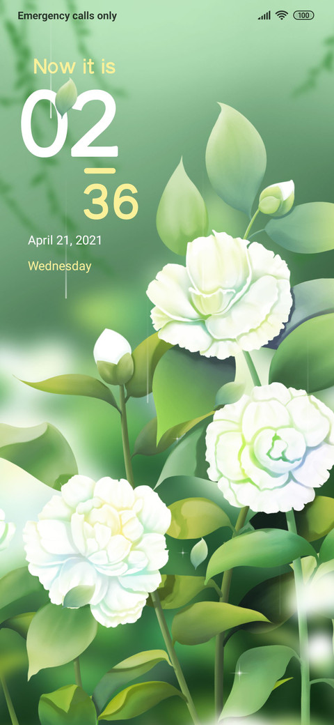 Camellia Blooms screenshot