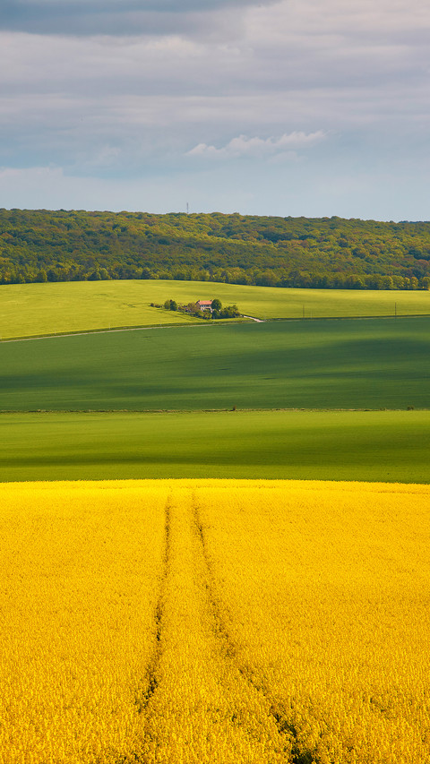 Farmland fields screenshot