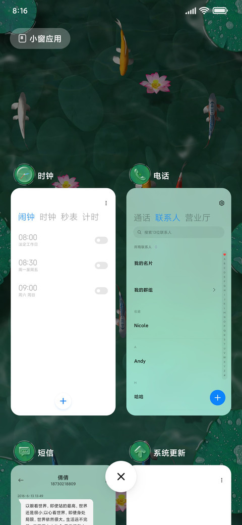 锦鲤荷塘 screenshot