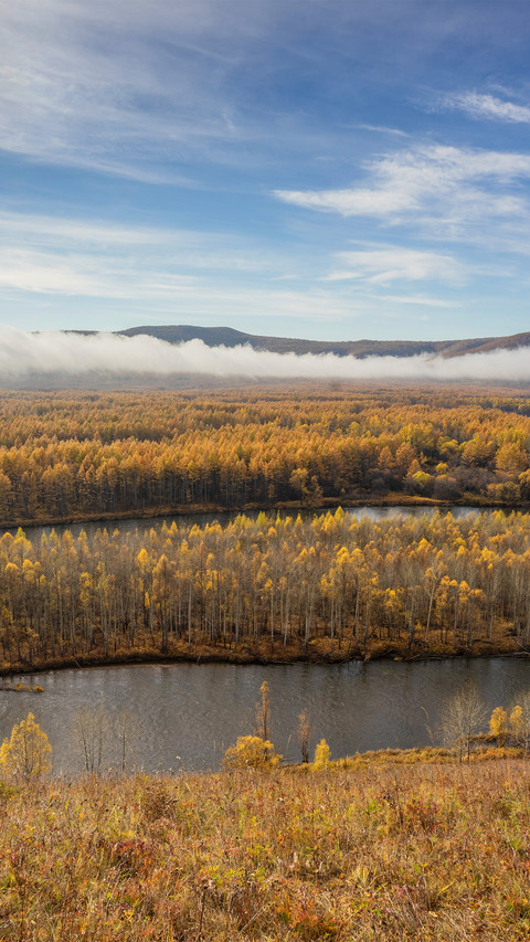 The scenery of genheyuan wetland screenshot