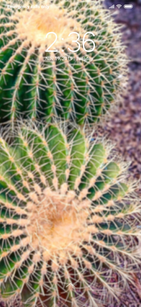 Cactuses series_DWM3 screenshot