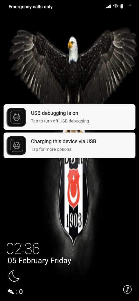 Kara Kartal screenshot