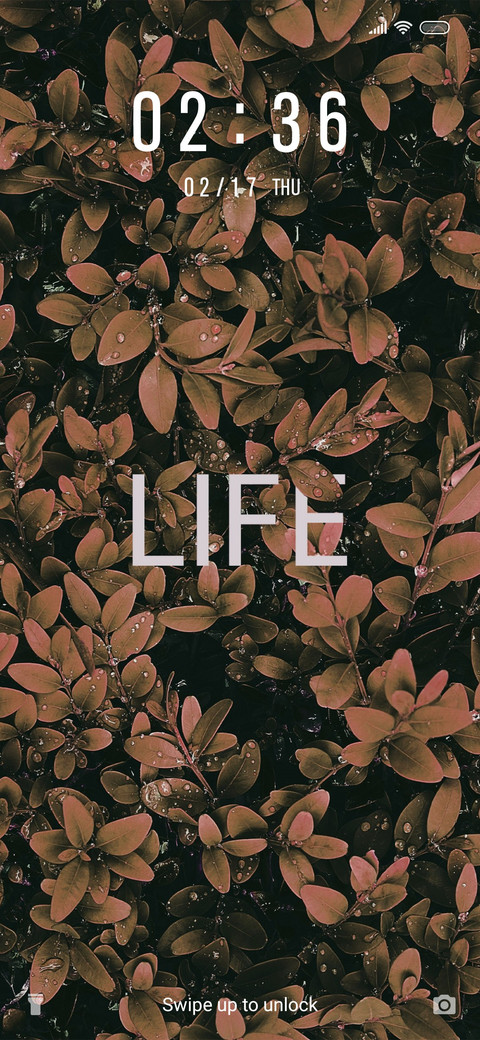 Life_3MDS screenshot