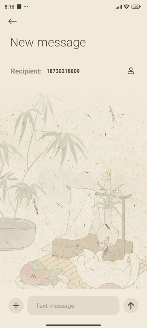 Cats persimmon screenshot