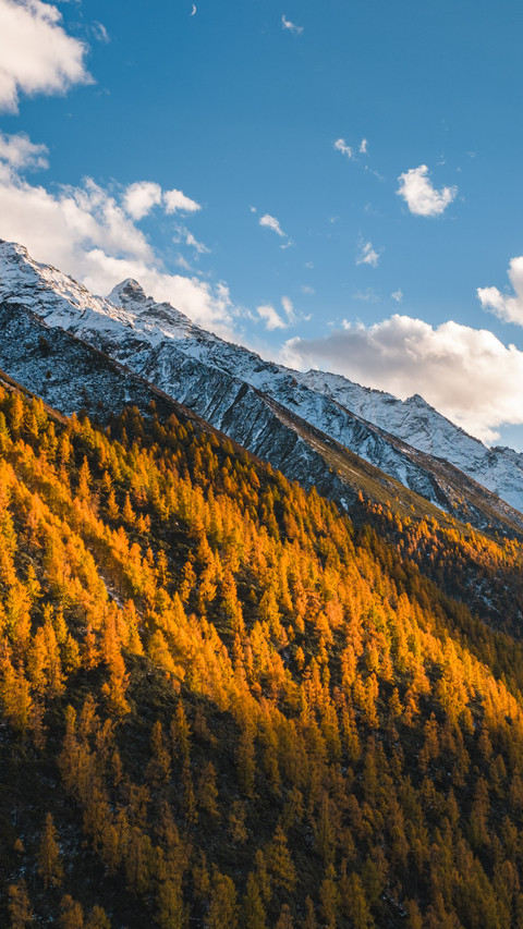 Snowy mountains, colorful forests at sunset screenshot