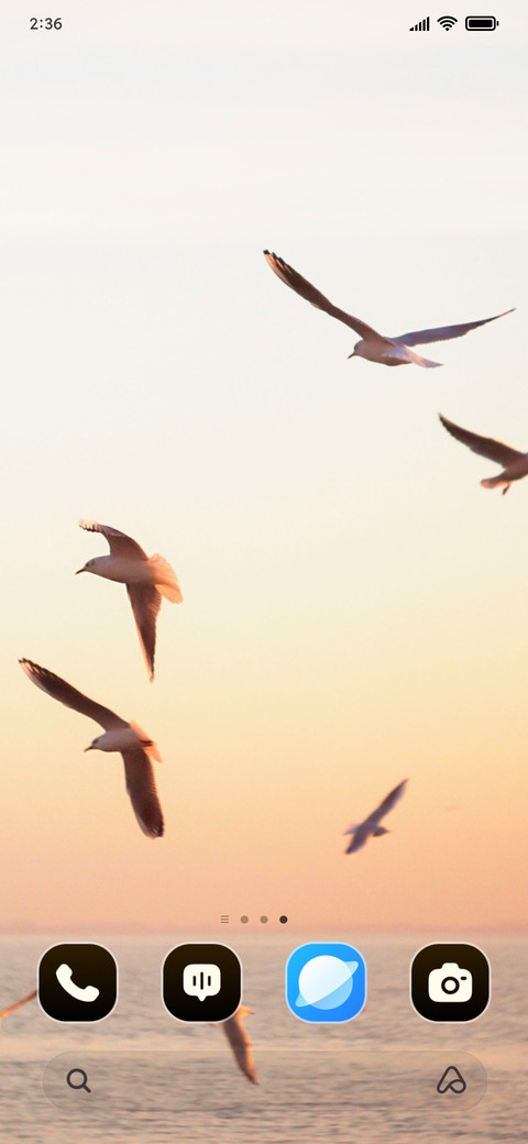 Bird Flock screenshot