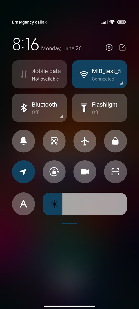 lion abstract screenshot
