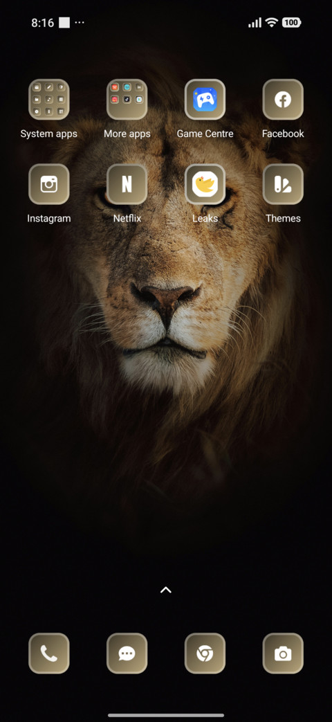 Lion Face screenshot