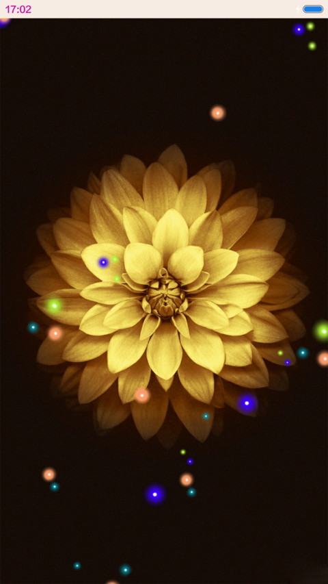 绽放 screenshot