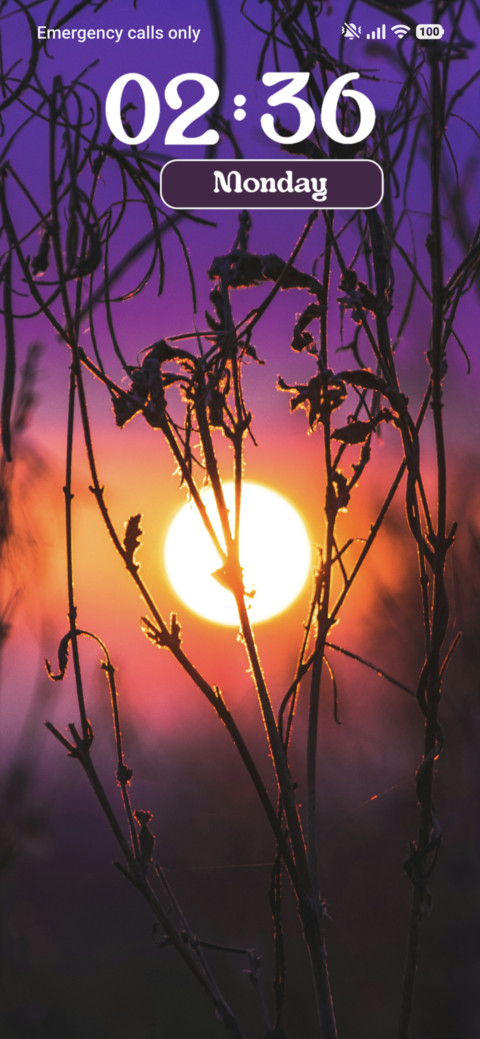 Grass screenshot