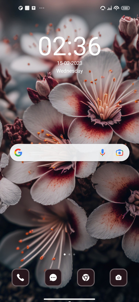 Flower screenshot