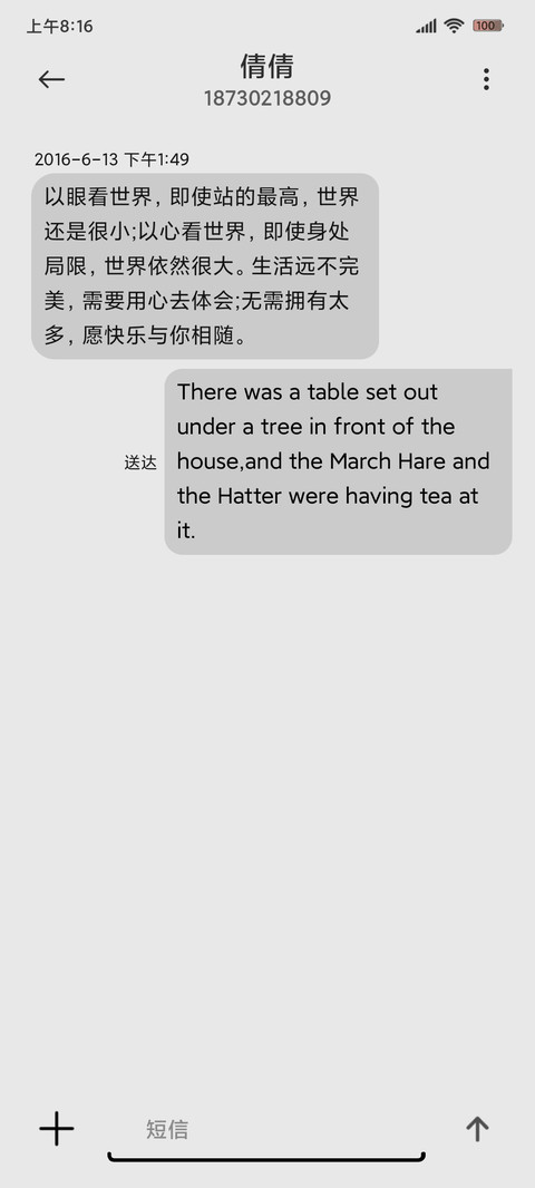 原子拟态熊猫崽 screenshot