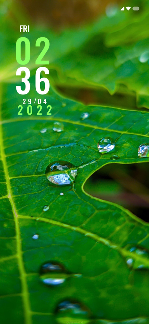 Leaf  Drop screenshot