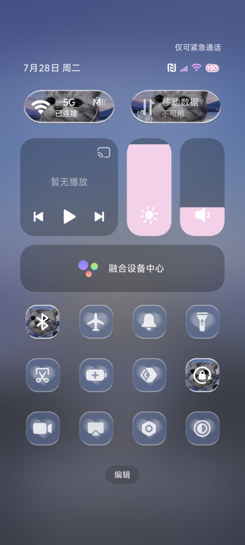 换图 蓝调氛围小猫 screenshot