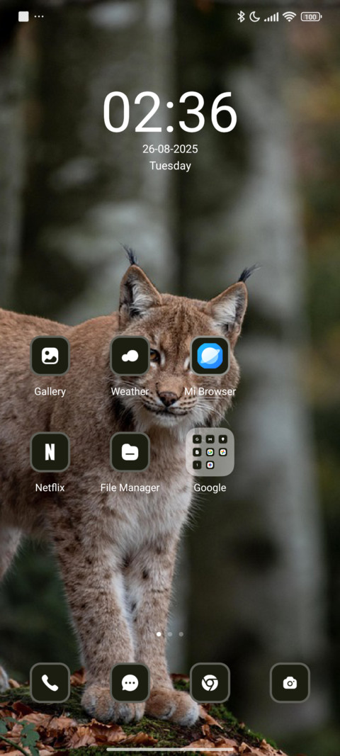 Lynx screenshot