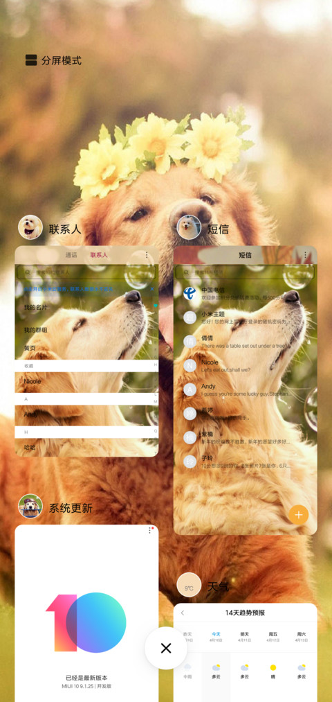 萌宠汪星人 screenshot