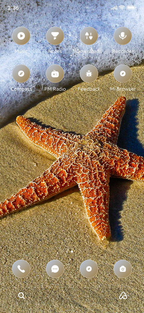 Starfish screenshot