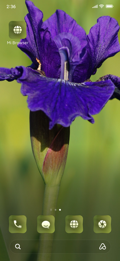 Iris screenshot
