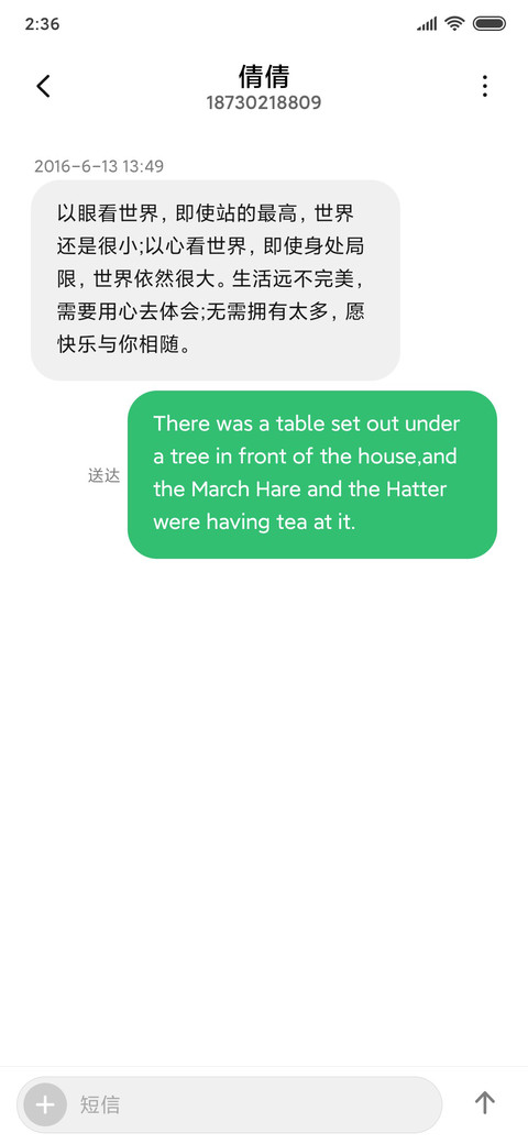 THEME8 screenshot