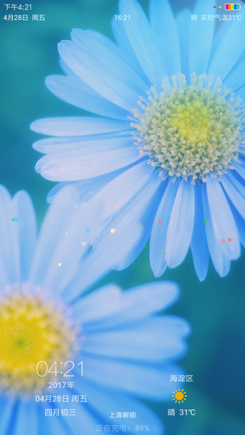 小小白花 screenshot