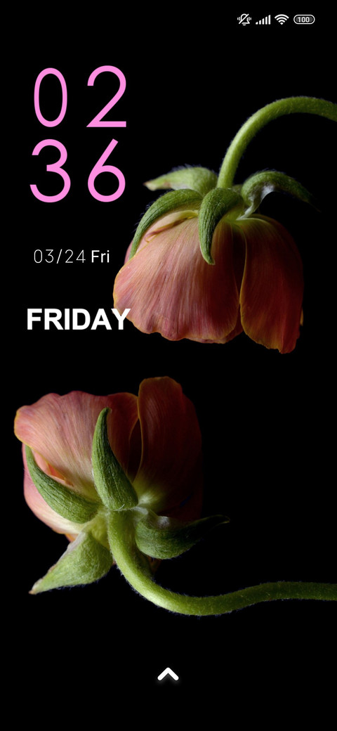 amoled flowers screenshot