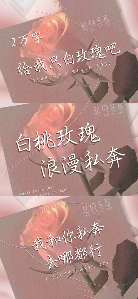 白桃玫瑰浪漫私奔 screenshot