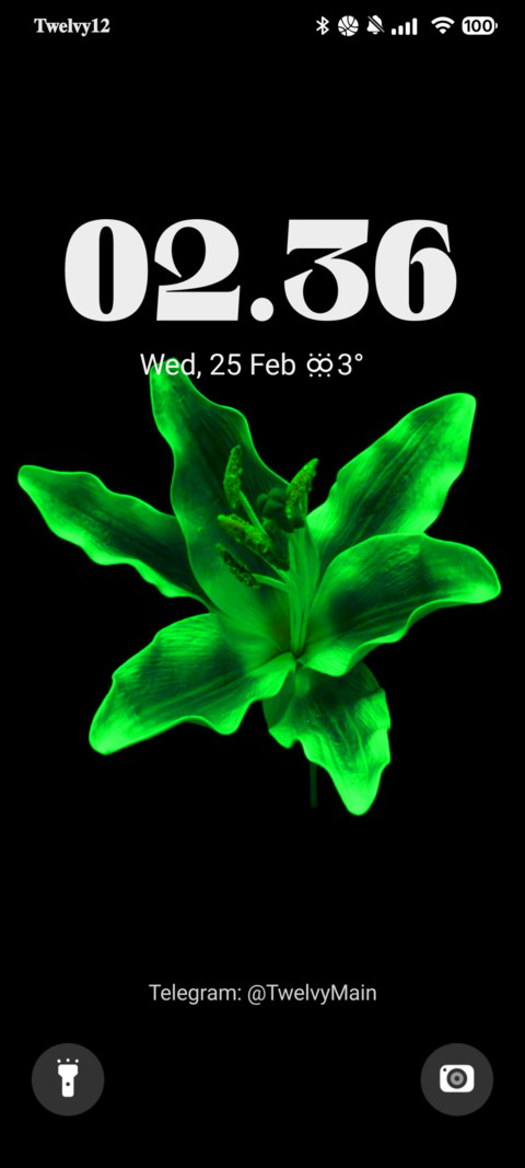 Green Leaf screenshot