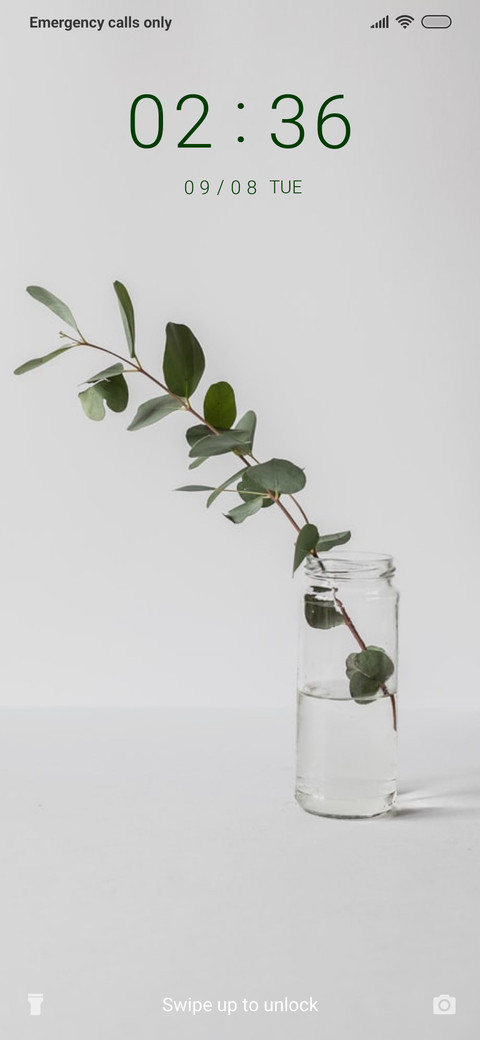 Leaves in a Bottle_3MDS screenshot