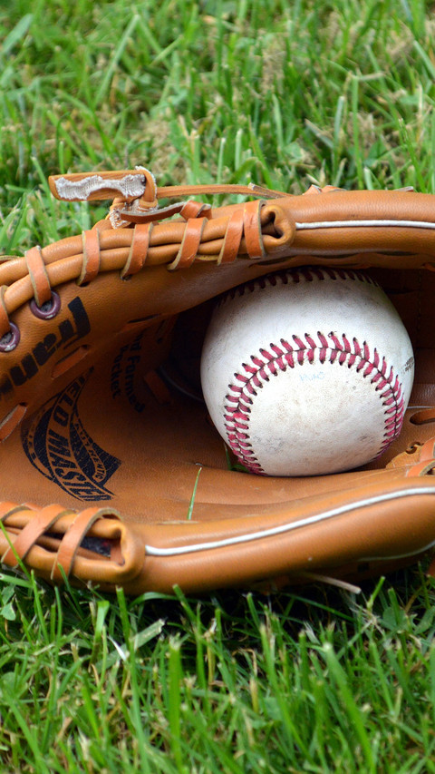baseball (4) screenshot